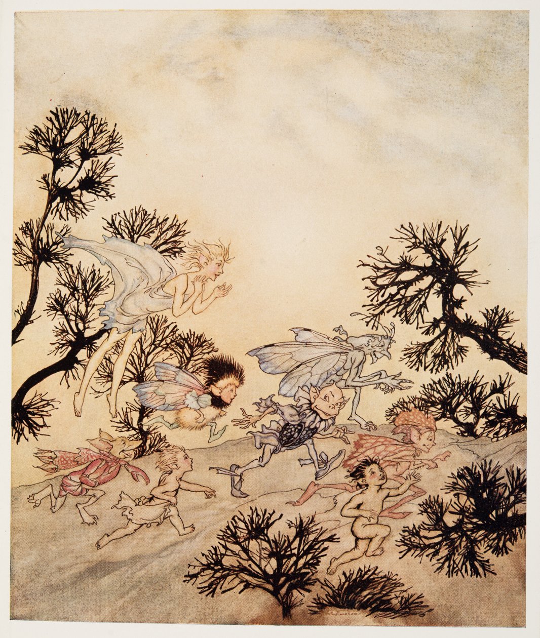 Menkää ryntäämään peikoilleni, että he jauhavat niveliään kuivilla kouristuksilla, kuvitus William Shakespearesin Myrsky -teoksesta, pub. 1926 tekijältä Arthur Rackham