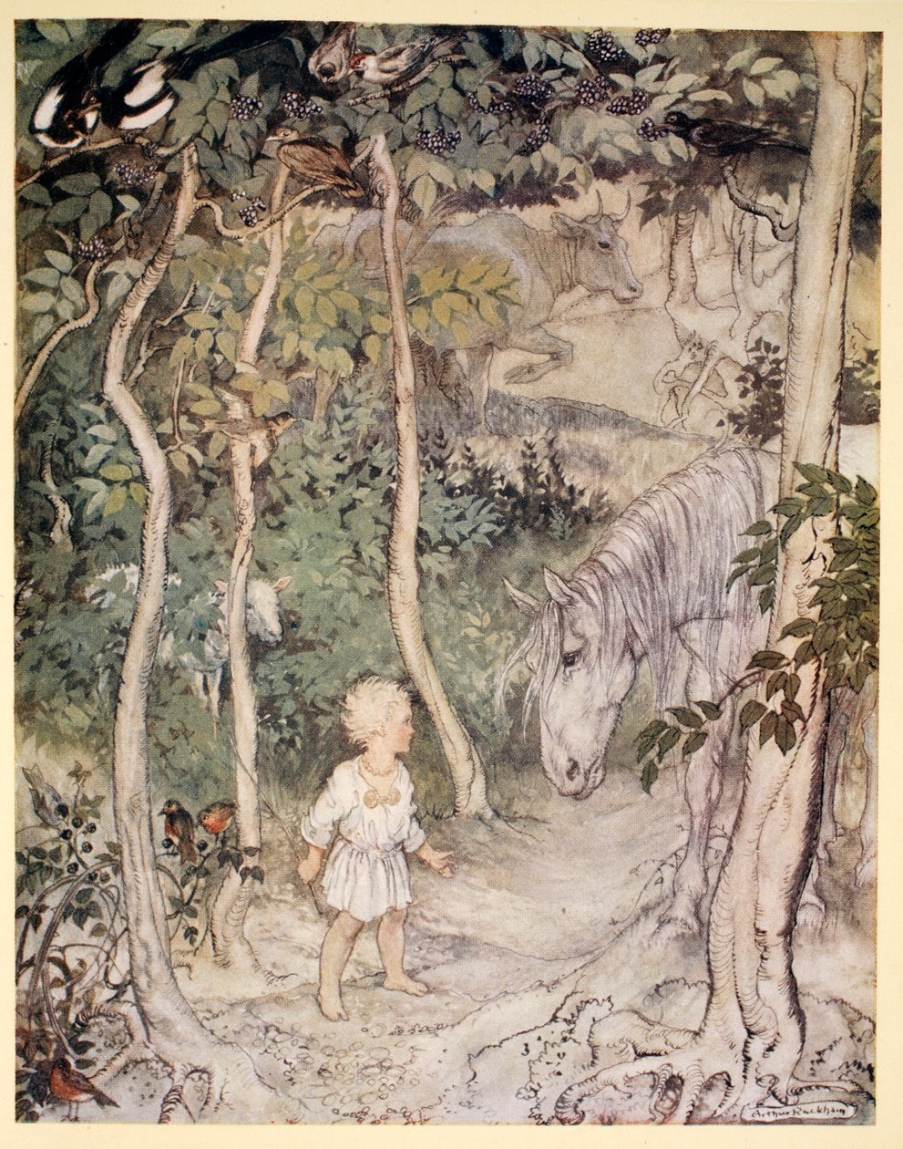 Hän saattaa ajatella, kuten tuijottavan hevosen tuijottaja: "Poika ei voi heiluttaa häntäänsä pitääkseen kärpäset loitolla", kuvitus James Stephensin teoksesta "Irish Fairy Tales", 1920. tekijältä Arthur Rackham