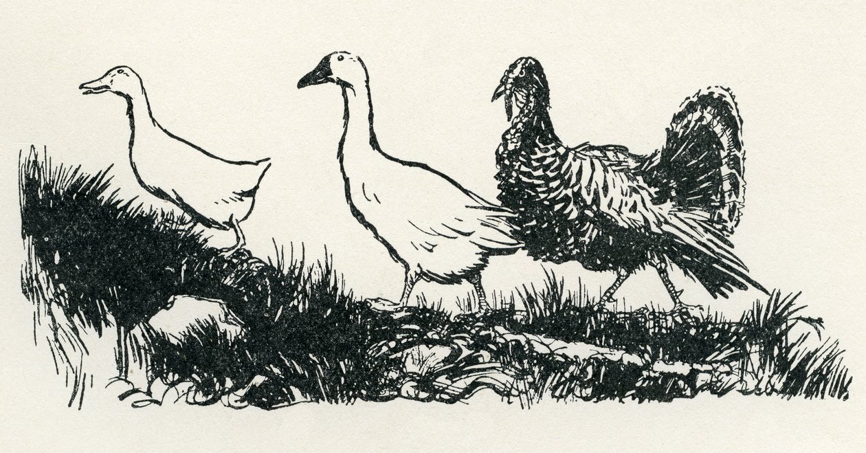Henny-Penny tekijältä Arthur Rackham