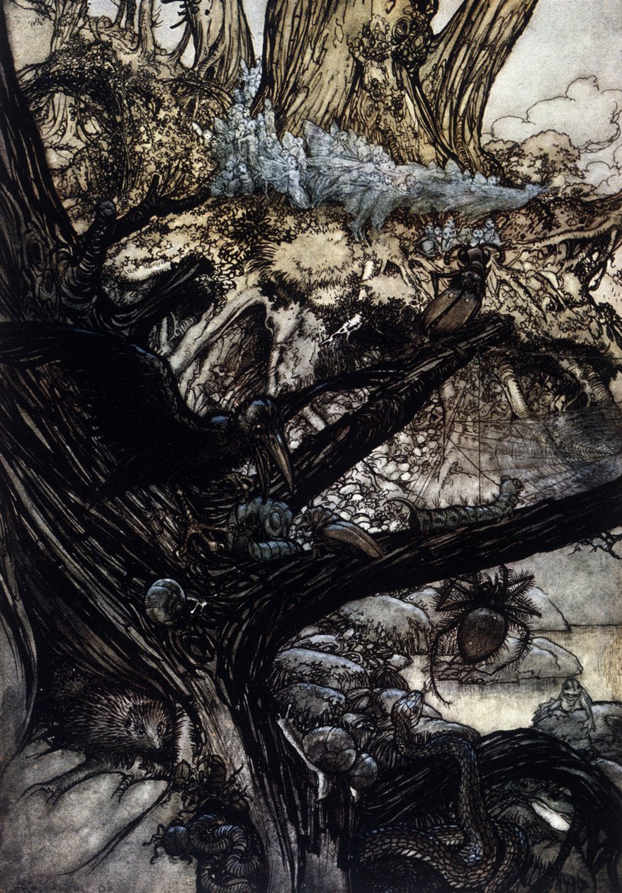 Arthur RACKHAMin (1867-1939) kuvitus William SHAKESPEAREN kesäyön unelmaan tekijältä Arthur Rackham