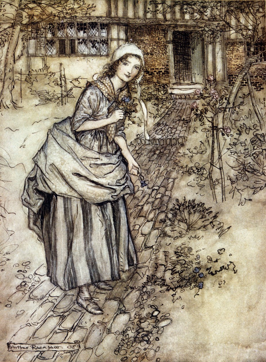 Arthur RACKHAMin (1867-1939) kuvitus William SHAKESPEAREN kesäyön unelmaan tekijältä Arthur Rackham