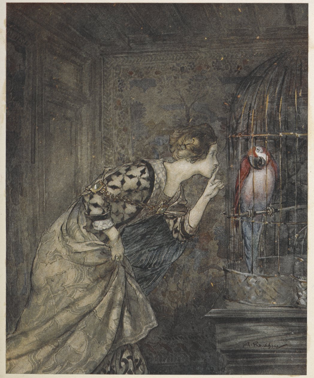 May Colvin ja papukaija häkissä. tekijältä Arthur Rackham
