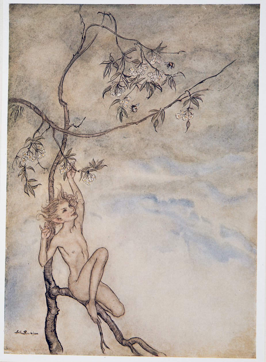 Merrily, merrily shall I live now under the blossom that hangs on the bough, kuvitus teoksesta William Shakespeares Myrsky, pub. 1926 tekijältä Arthur Rackham