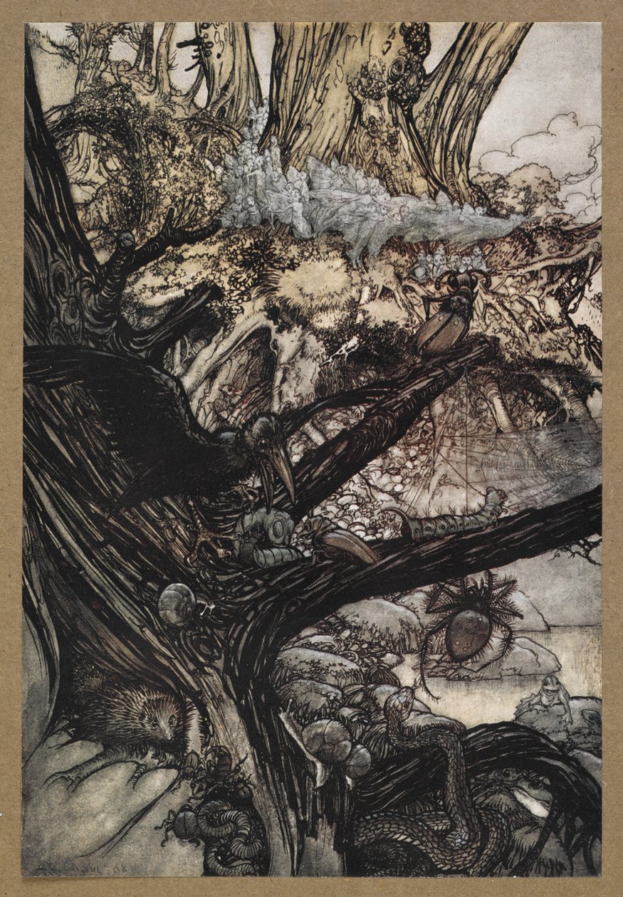 Älä koskaan vahingoita, älä loitsu tai viehätä, tule rakas rouvamme lähelle. Kohtaus Kesäyön unelmasta. tekijältä Arthur Rackham