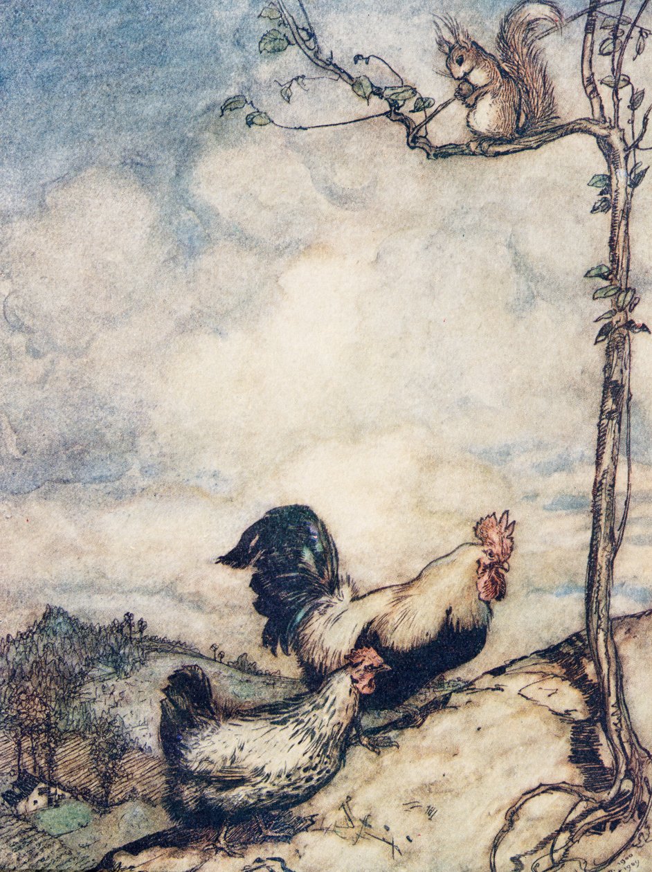 Nyt menemme kukkulalle ja pidämme kunnon juhlat ennen kuin orava vie kaikki pähkinät .., Grimmin veljesten saduista, pub. 1909 tekijältä Arthur Rackham