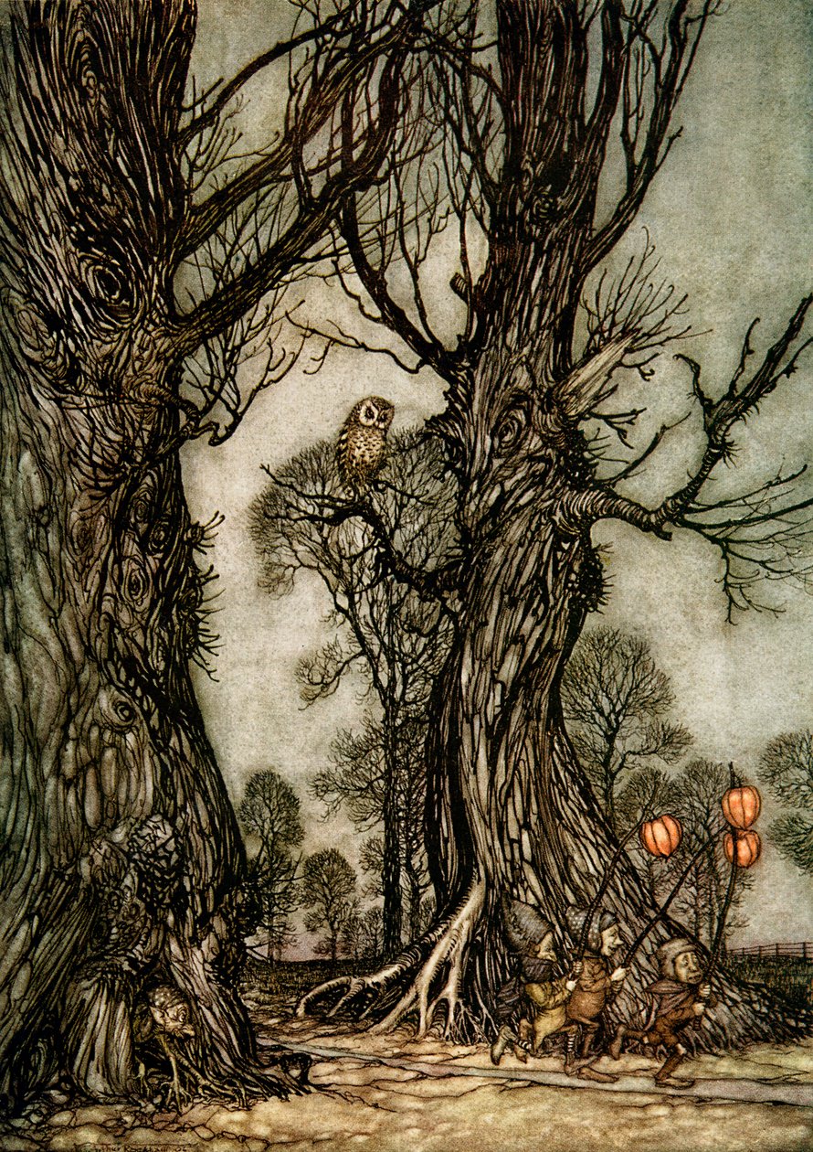 Peter Pan Kensington Gardensissa tekijältä Arthur Rackham