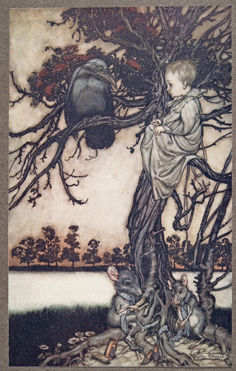 Laita hänen outo tapauksensa Old Solomon Caw:n eteen, Peter Panin Kensington Gardensista, kirjoittanut J M Barrie (1860 - 1937), pub. 1906 tekijältä Arthur Rackham