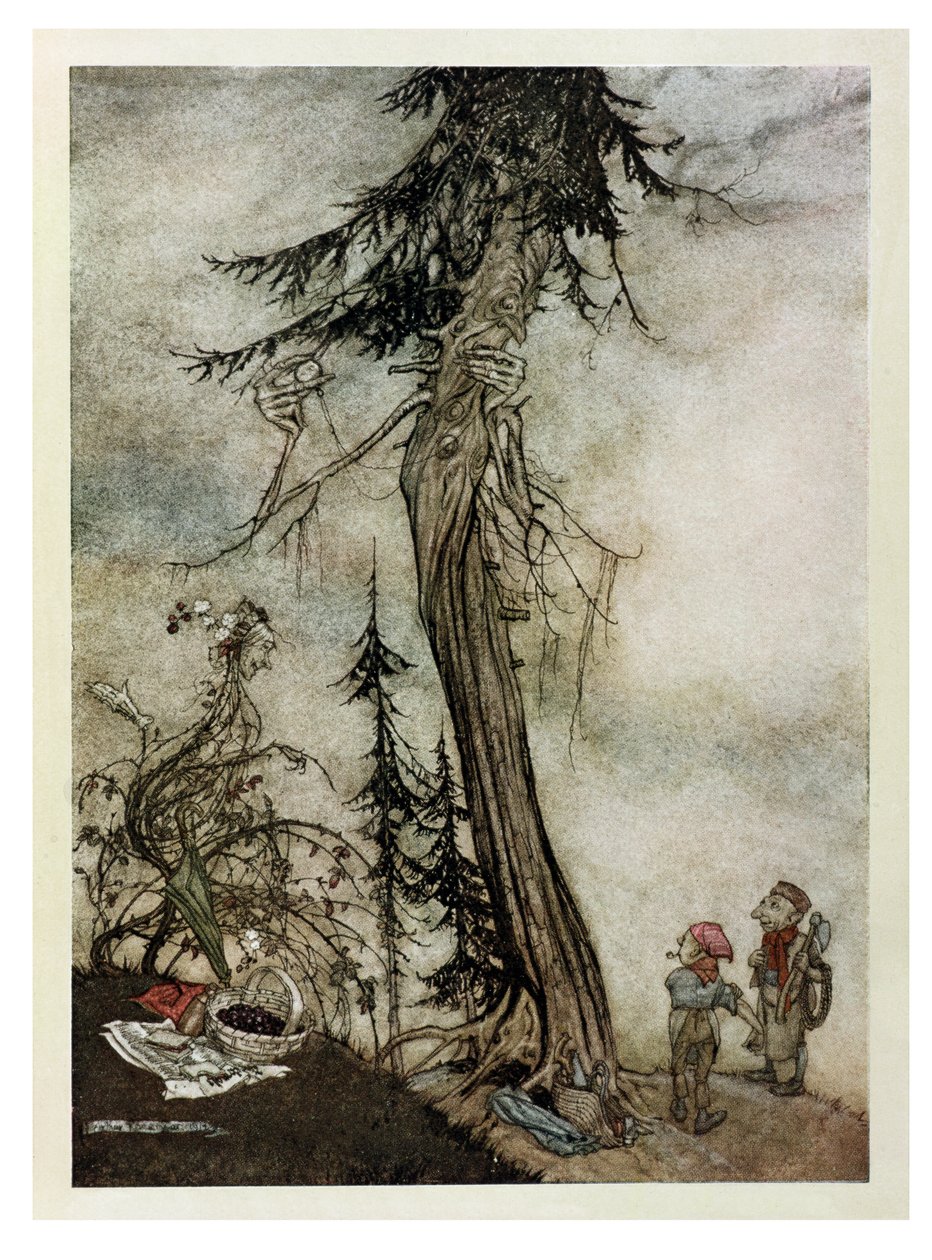 The Fir-Tree and the Bramble, kuvitus teoksesta Aesop