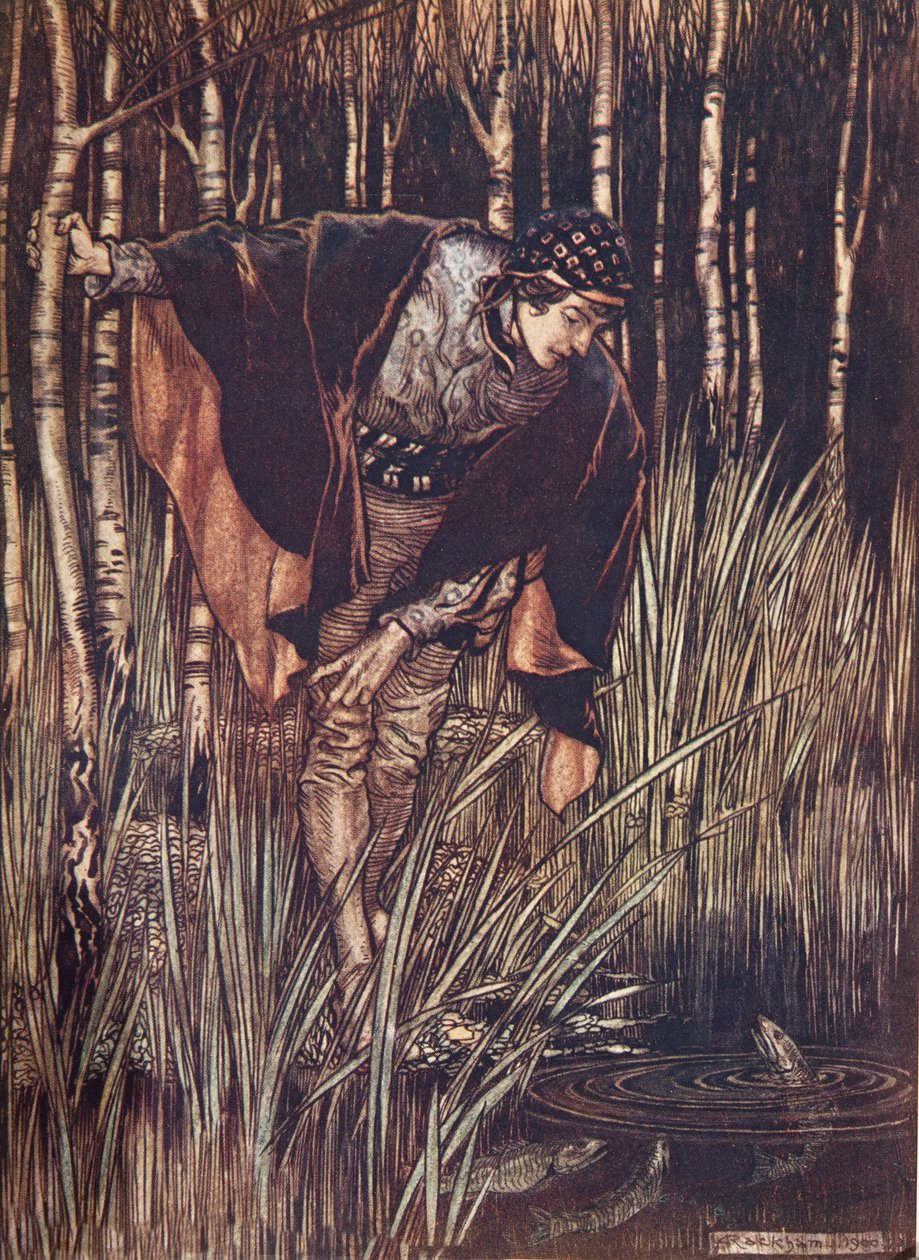 Kalat ojensivat riemuissaan päänsä veden yläpuolelle ja lupasivat palkita hänet, Grimmin veljesten saduista, pub. 1909 tekijältä Arthur Rackham