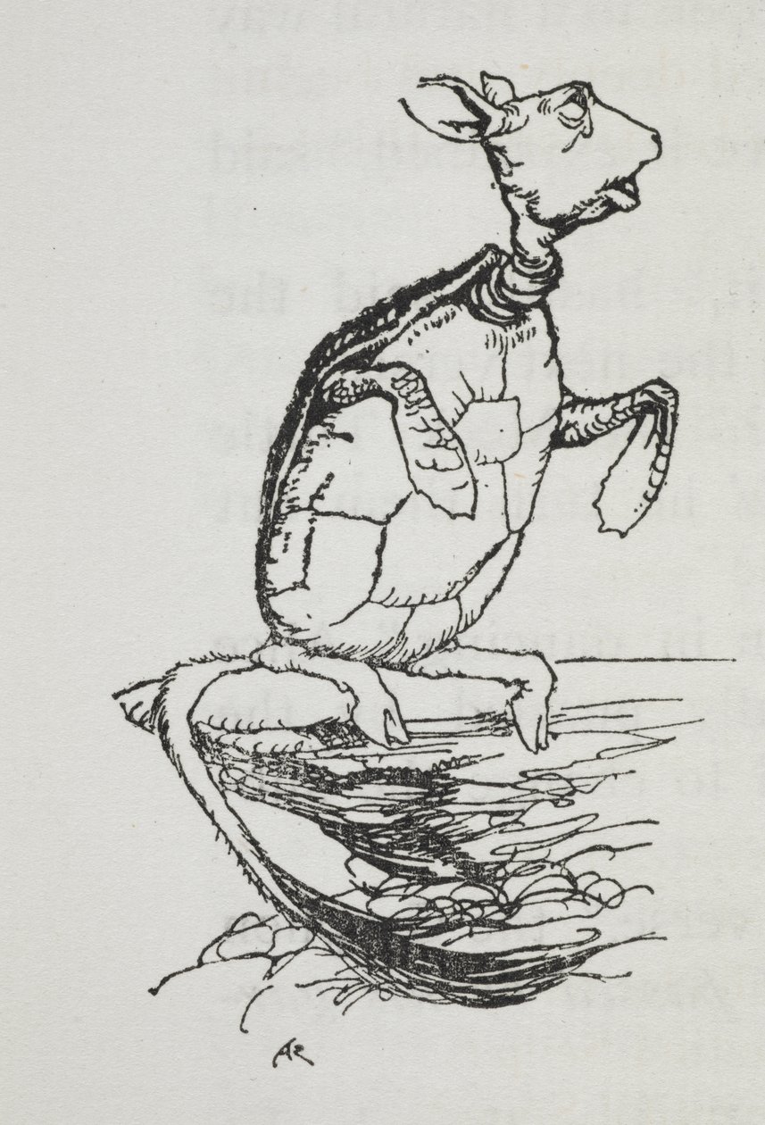 Pilkikilpikonna tekijältä Arthur Rackham