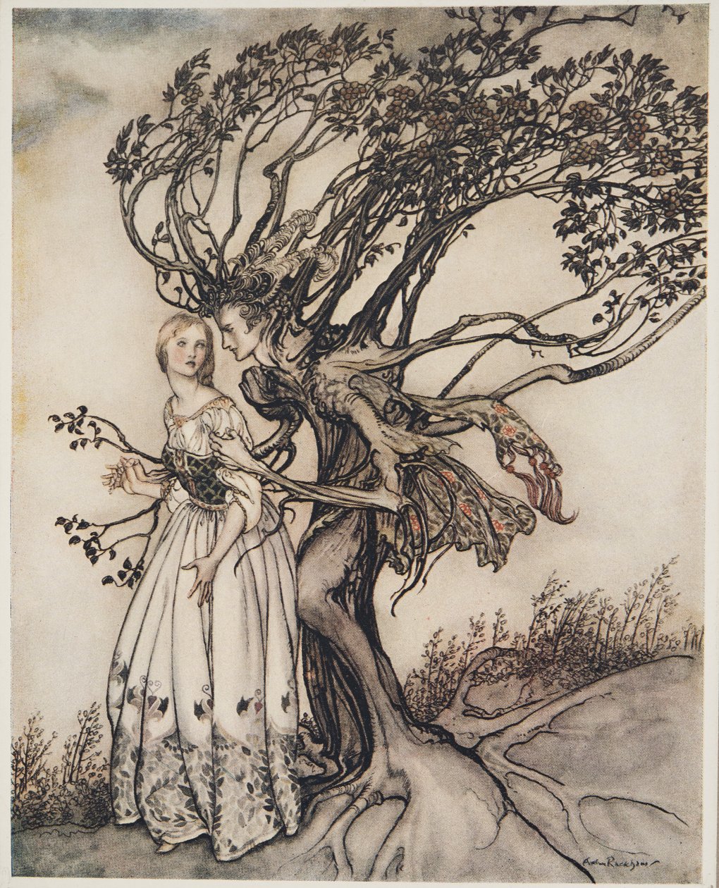 Vanha nainen metsässä, teoksesta Pikkuveli ja pikkusisar ja muita Grimmin veljien tarinoita, pub.1917 tekijältä Arthur Rackham