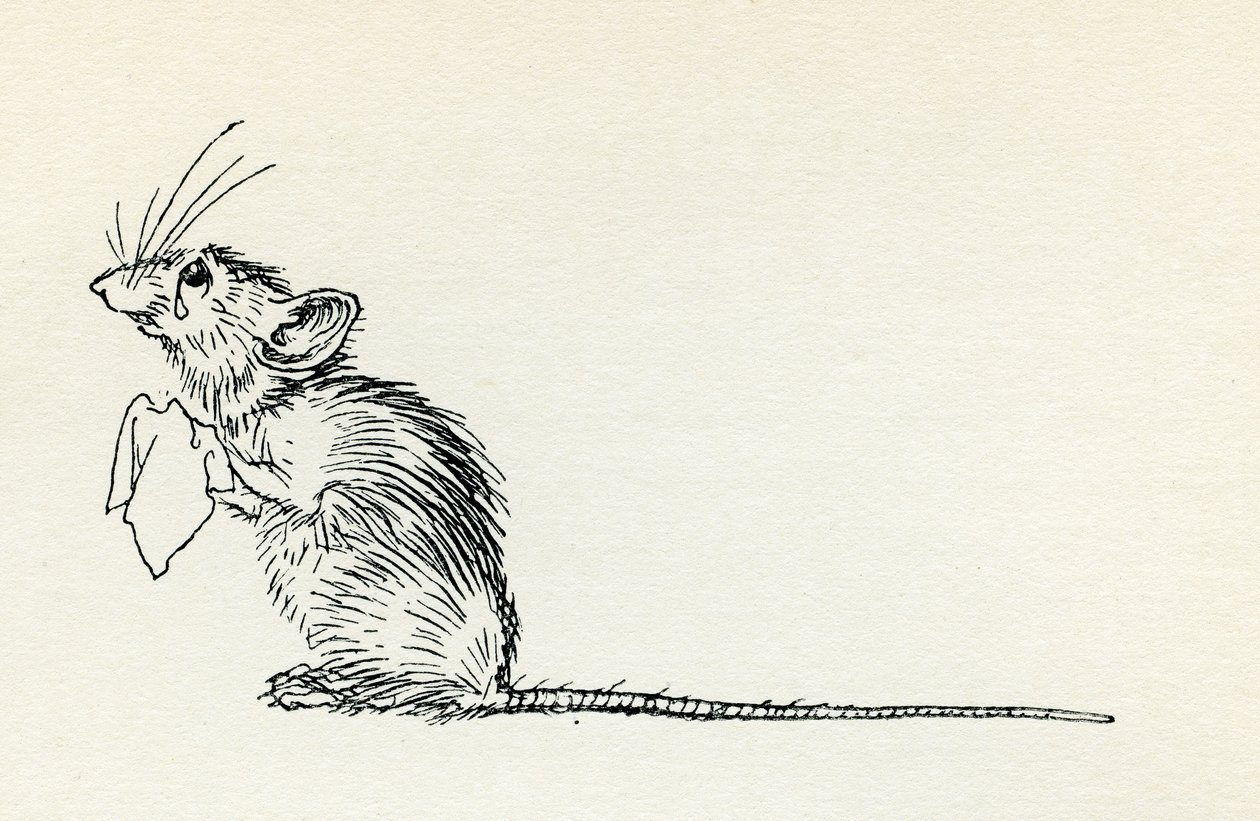 Titty Mouse ja Tatty Mouse tekijältä Arthur Rackham