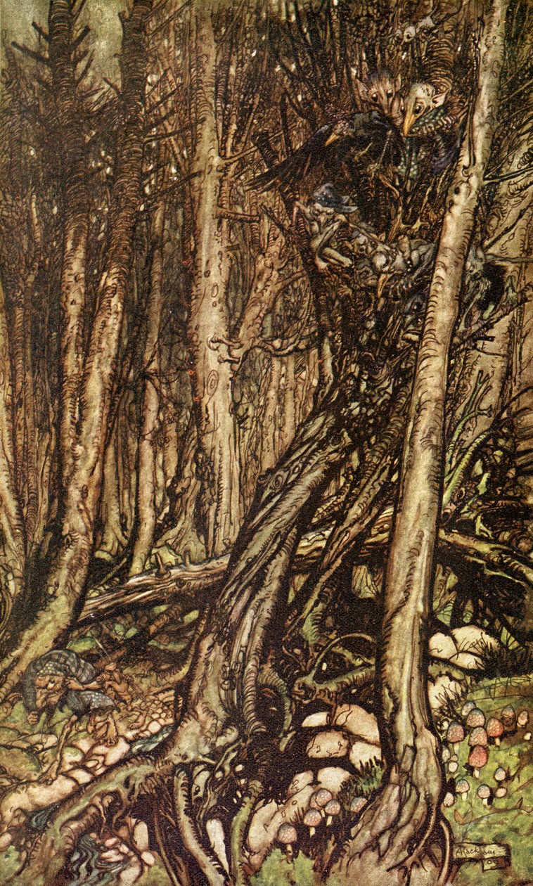 Undine Friedrich de la Motte Fouque tekijältä Arthur Rackham