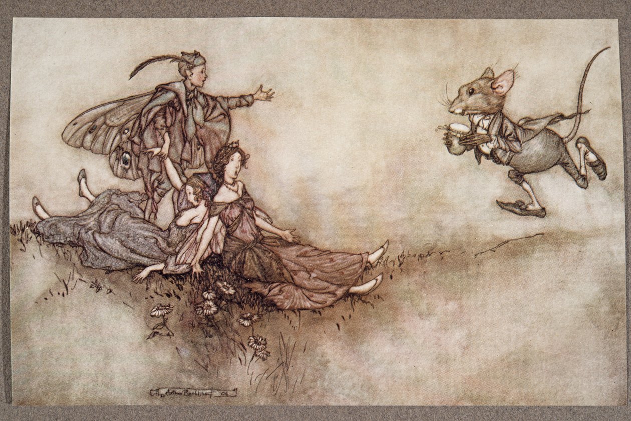 Seinäkukkamehu on hyvä elvyttämään tanssijoita, jotka putoavat maahan levottomuuden vuoksi. J M Barrien (1860 - 1937) pubi on kirjoittanut Peter Pan Kensington Gardensissa. 1906 tekijältä Arthur Rackham