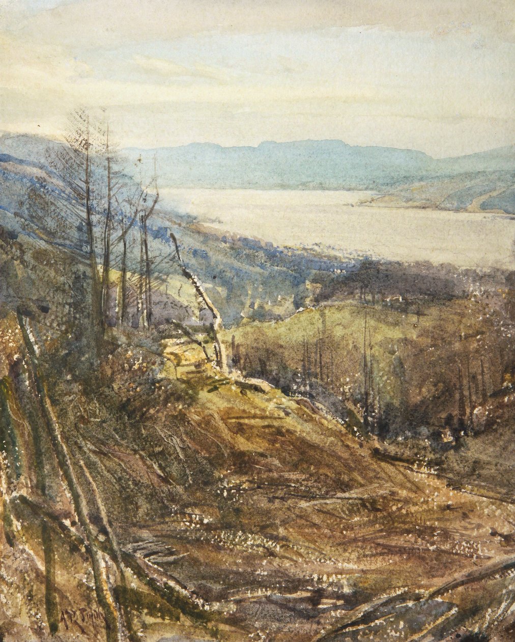 Coniston läheltä Tarn Howsia (akvarelli) (vesiväri) tekijältä Arthur Reginald Smith