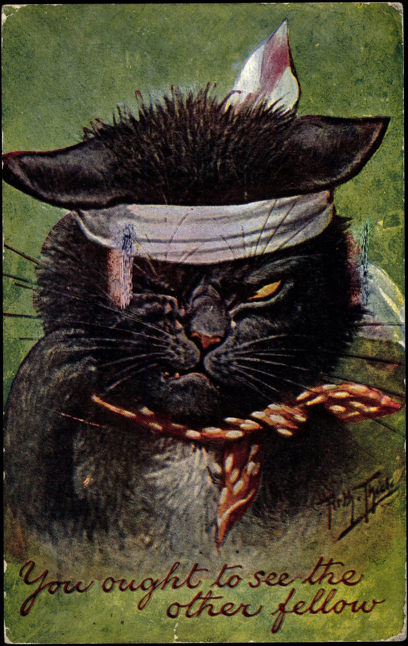 Cat, sinun pitäisi nähdä se toinen kaveri, - tekijältä Arthur Thiele