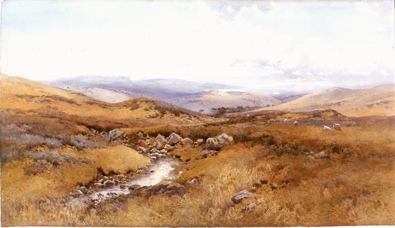 Windermere Hillsillä (vartalonväri, kynä ja wc paperilla) tekijältä Arthur Tucker