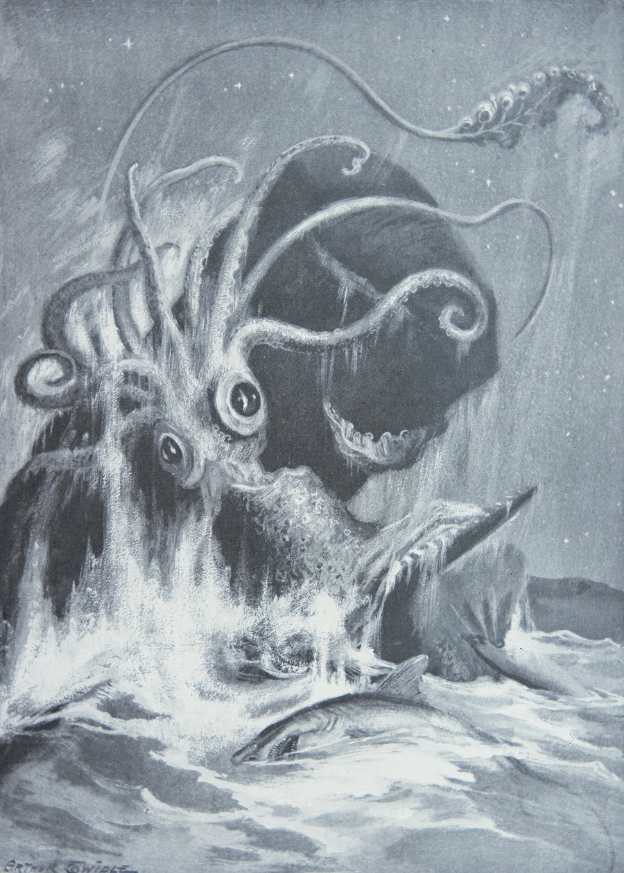 Kraken vs. spermavalaat tekijältä Arthur Twidle