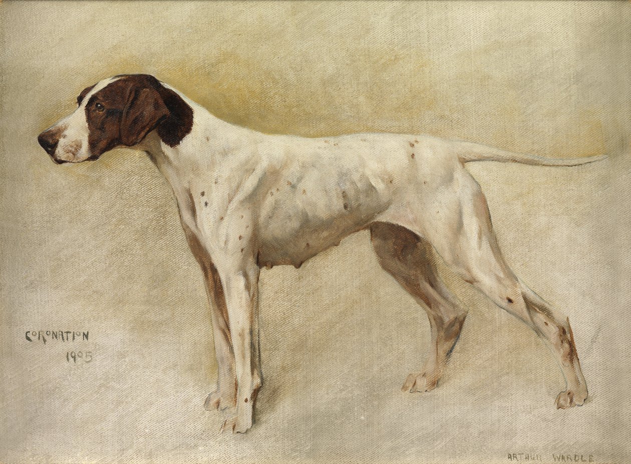 Kruunaus tekijältä Arthur Wardle