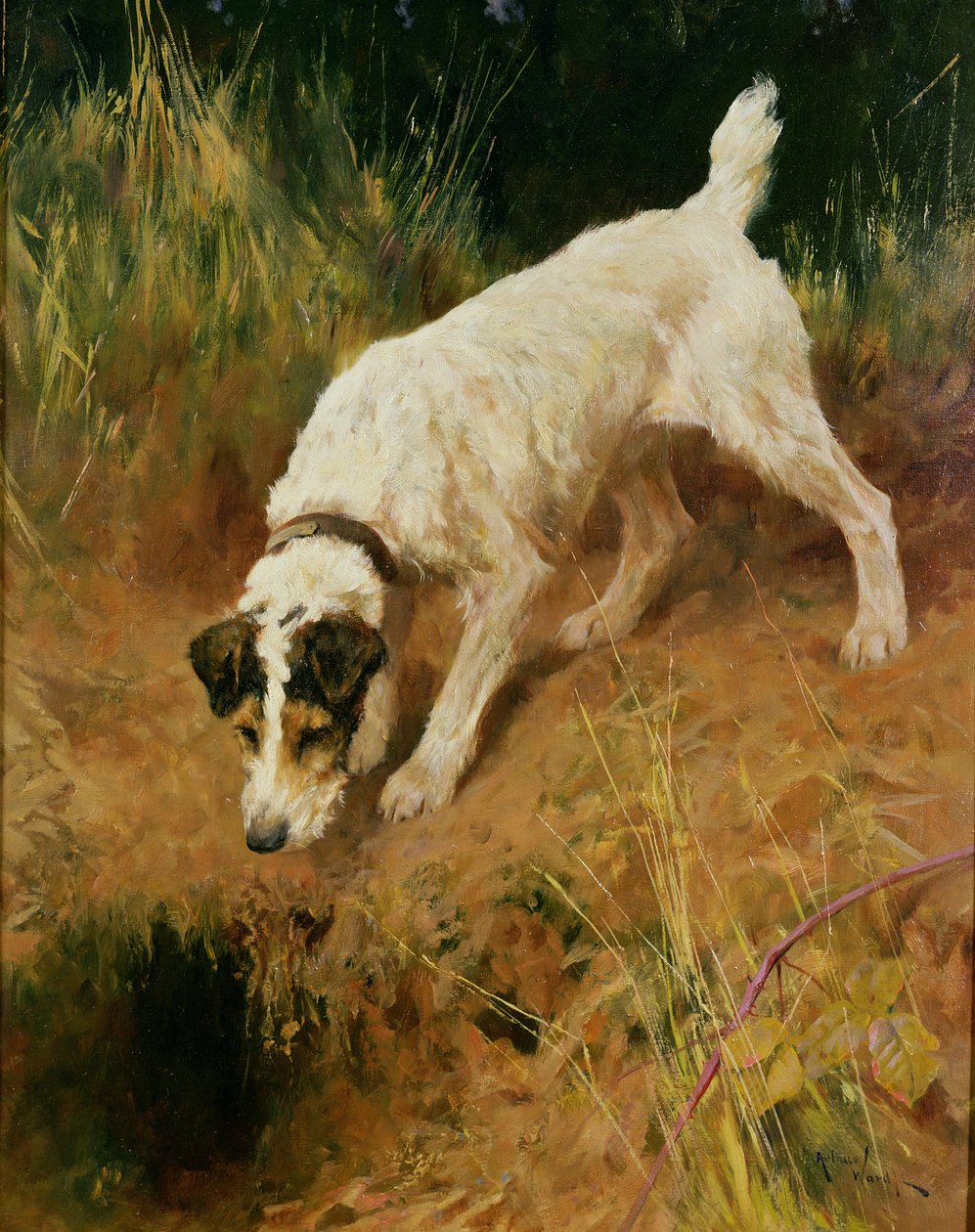 Kettuterrieri tekijältä Arthur Wardle