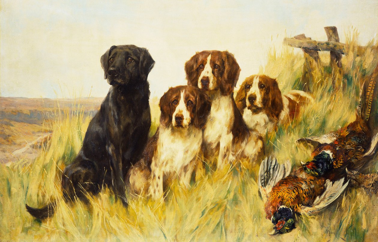 Katse eteenpäin (öljy kankaalle) tekijältä Arthur Wardle