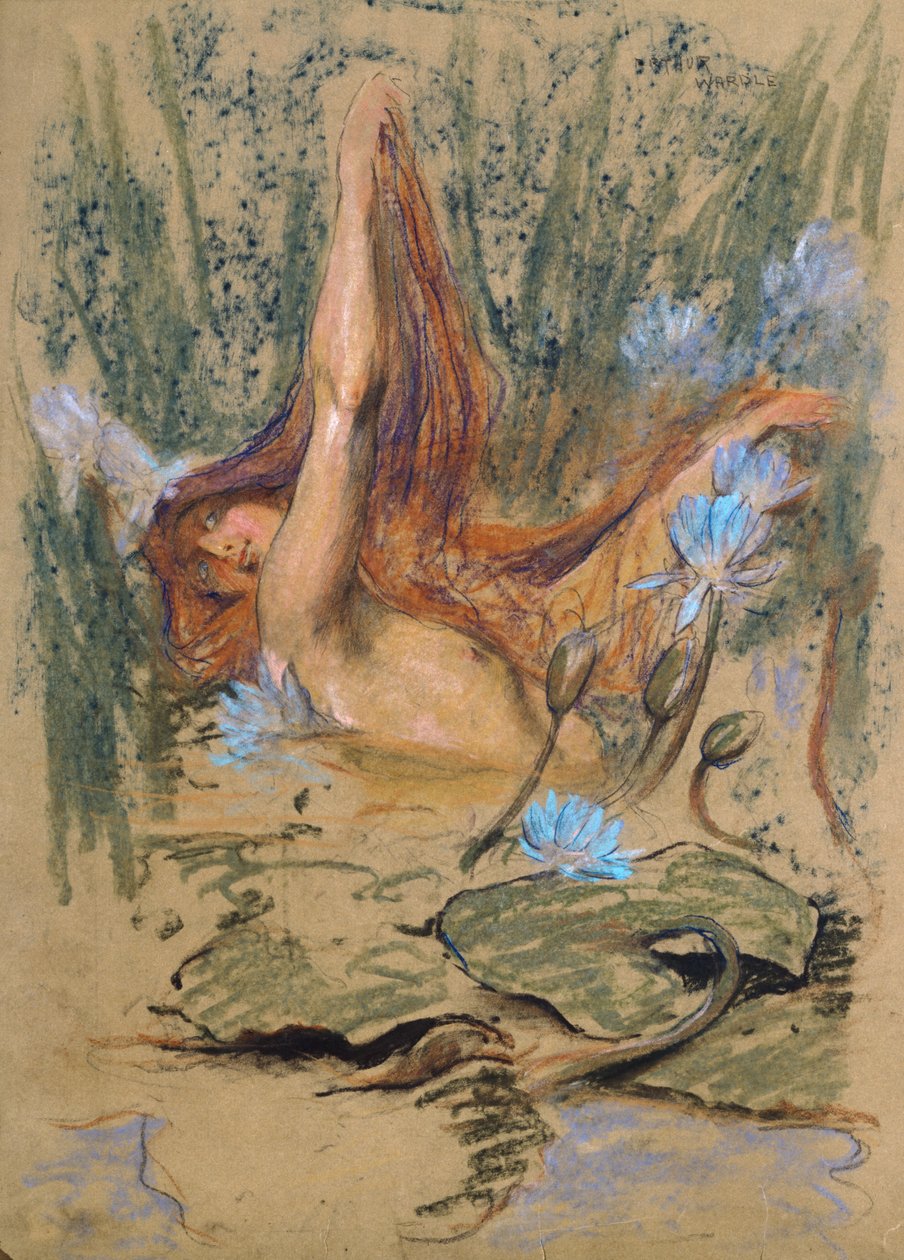 Nymphea, n. 1890 (pastelli, lyijykynä ja akvarelli paperille) tekijältä Arthur Wardle