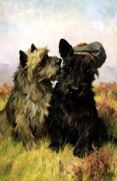 Ulos Grassiin tekijältä Arthur Wardle
