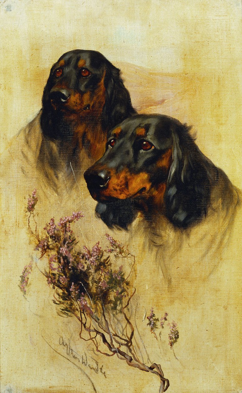Kaksi Gordon-setteriä (öljy kankaalle) tekijältä Arthur Wardle