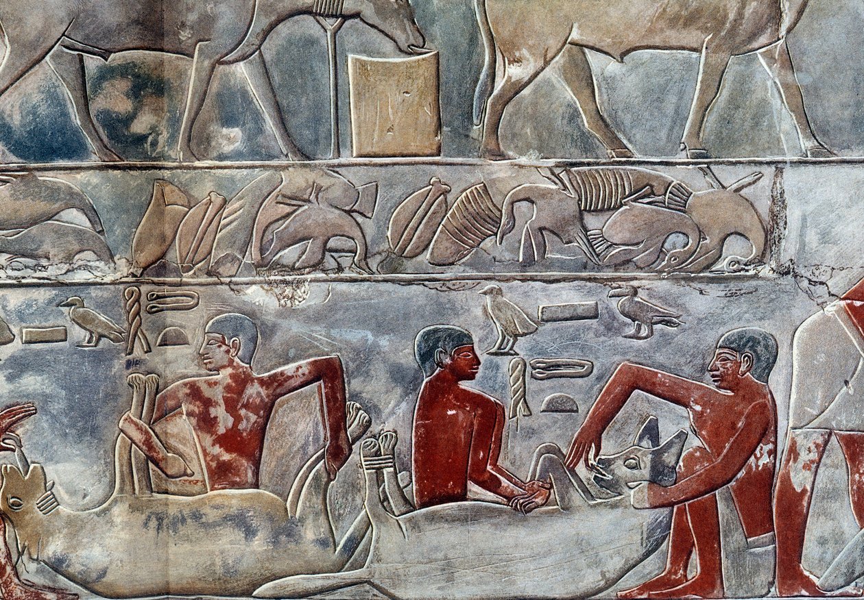 Egyptin taide: hyeenin jakelu. College on samanlainen kuin Mererukan mastaba. tekijältä Artist Unknown