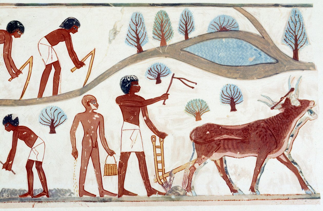 Egyptin taide: kyntökohtaus. Faksimile putoaa Nakhtista, Amenofis II:n ajalta (n. 1450-1425). tekijältä Artist Unknown