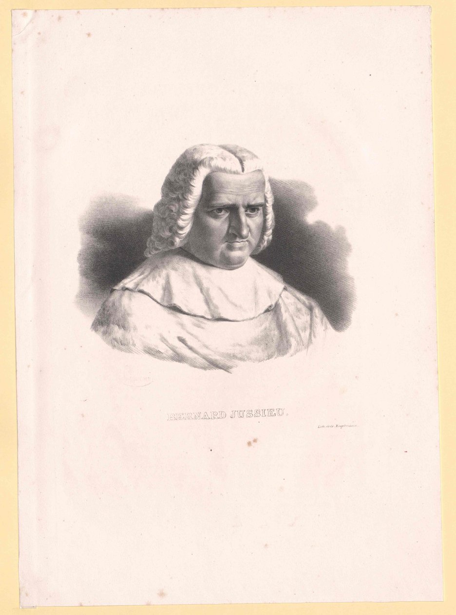 Bernard de Jussieu tekijältä Artist Unknown