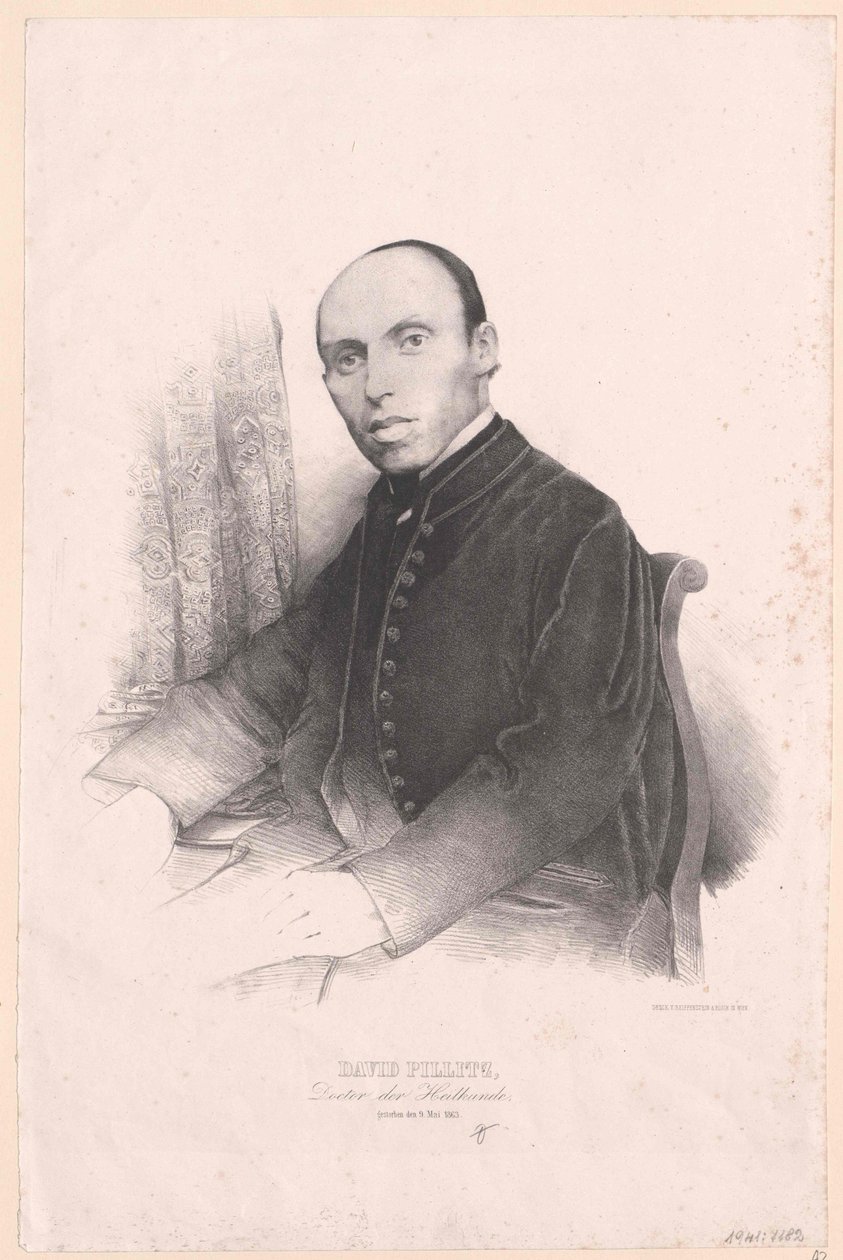 David Pillitz tekijältä Artist Unknown