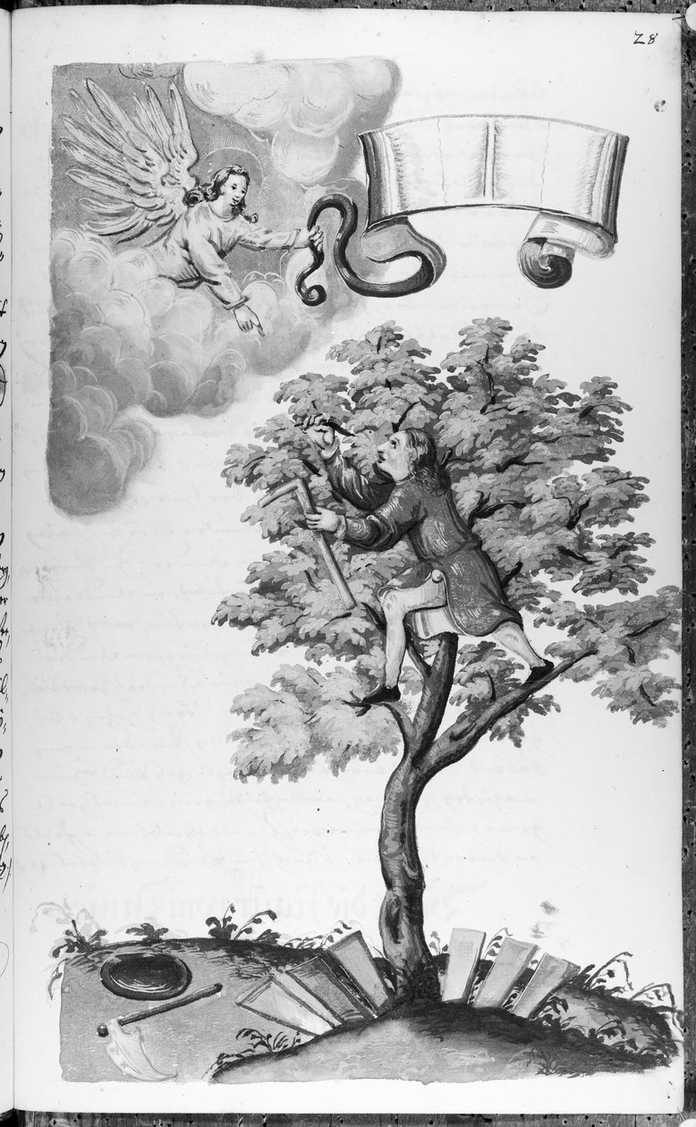 Folio 28, koodeksi 11134 tekijältä Artist Unknown