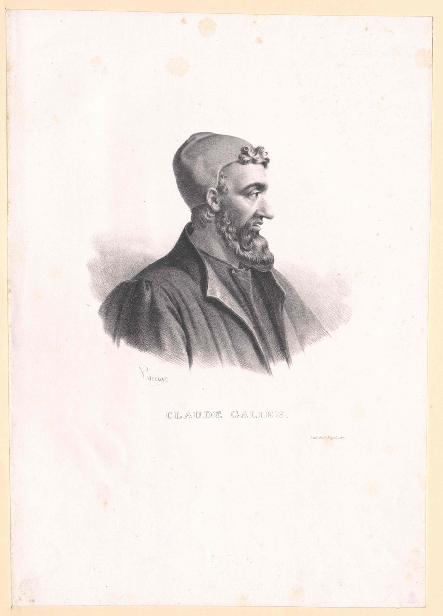 Galenus tekijältä Artist Unknown