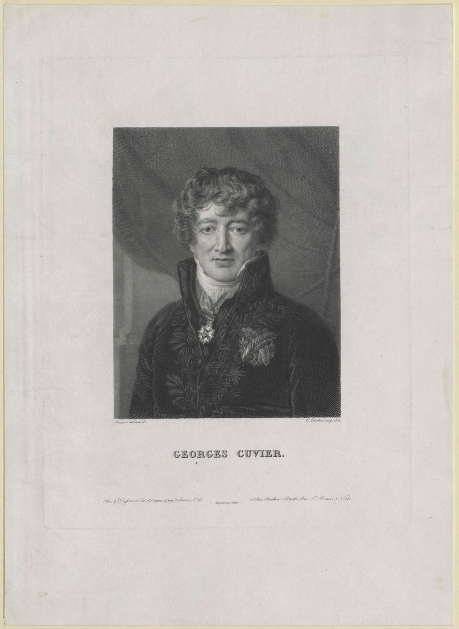 Georg Cuvier (painettu) tekijältä Artist Unknown