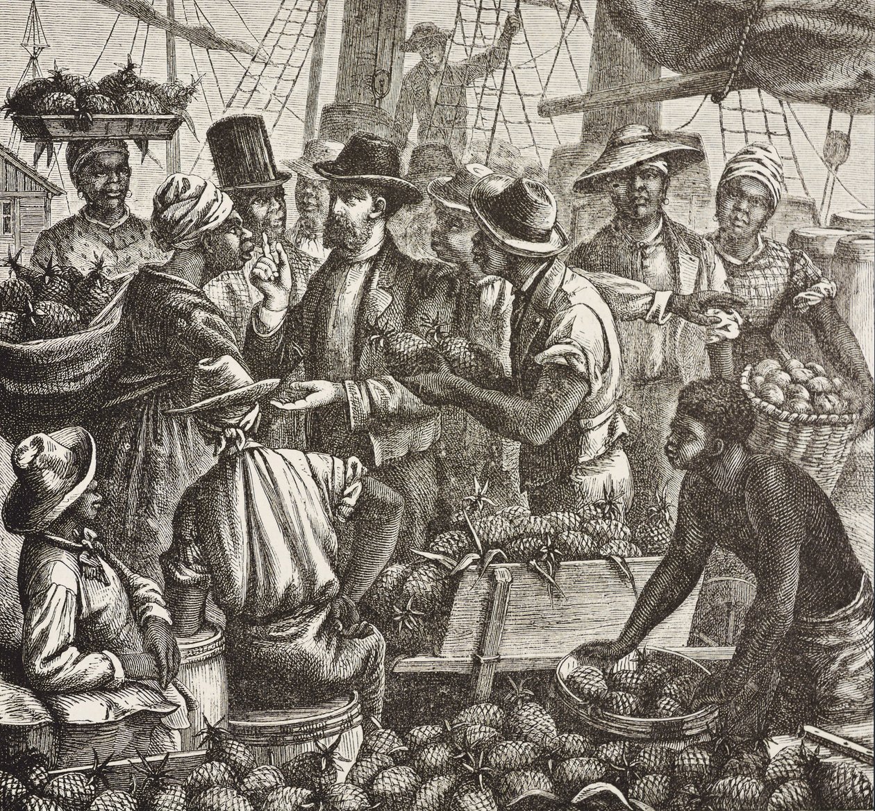 Englannin historia (19. vuosisata). Siirtolaisuus (1880). Bahama myy ananaksia. Englannin siirtokunta New Providencen saarella. Ananakset olivat yksi Nassaun sataman tärkeimmistä vientituotteista. Kaiverrus. Yksityinen kokoelma tekijältä Artist Unknown