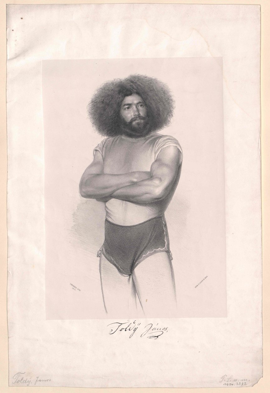 Janos Toldy tekijältä Artist Unknown