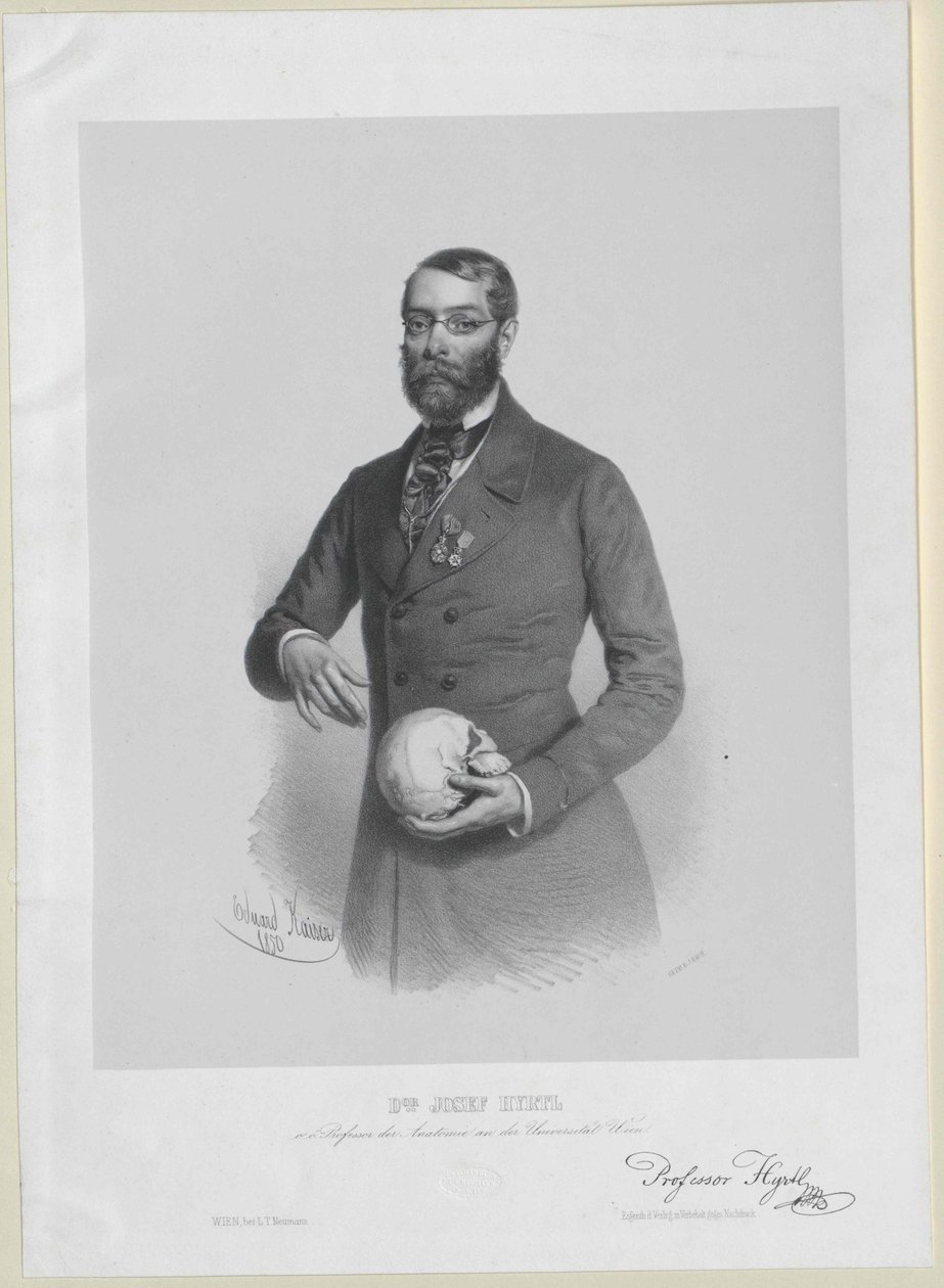 Joseph Hyrtl tekijältä Artist Unknown