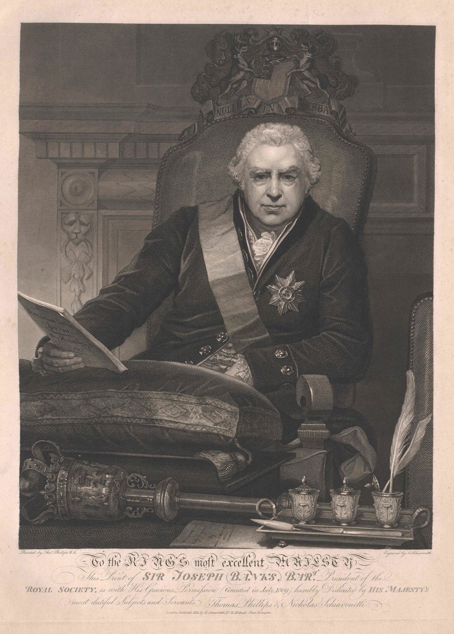 Joseph baronet Banks tekijältä Artist Unknown