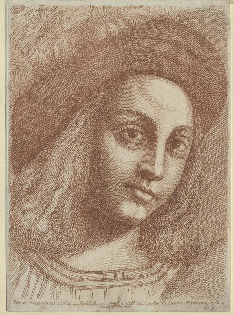 Katharina von Bora (painettu) tekijältä Artist Unknown