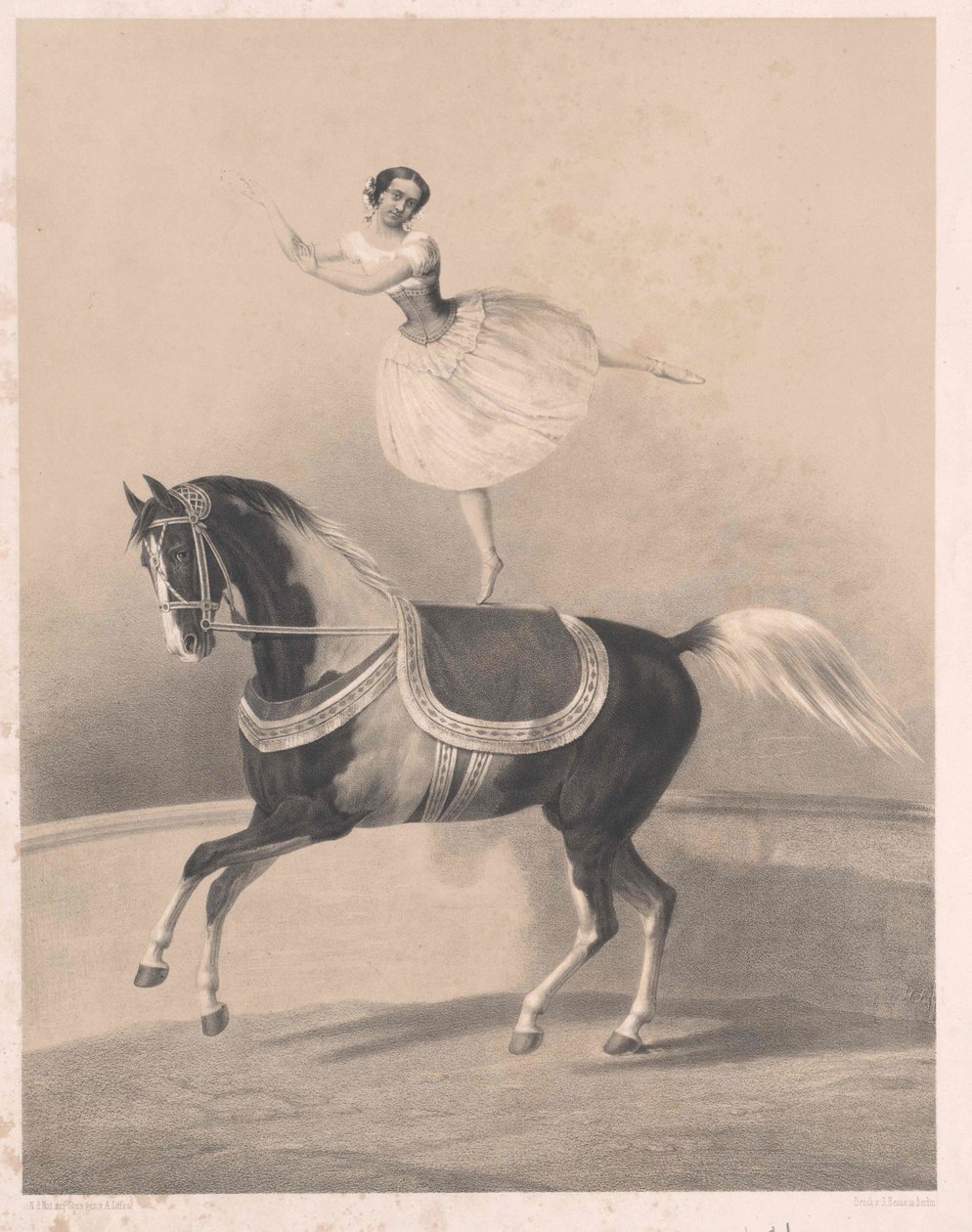 Louise Loisset tekijältä Artist Unknown