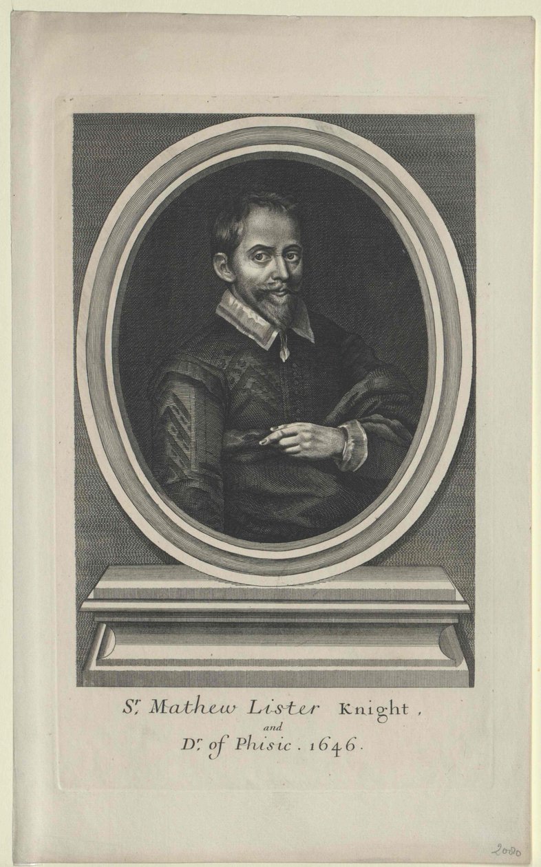 Matthew List (tulosta) tekijältä Artist Unknown