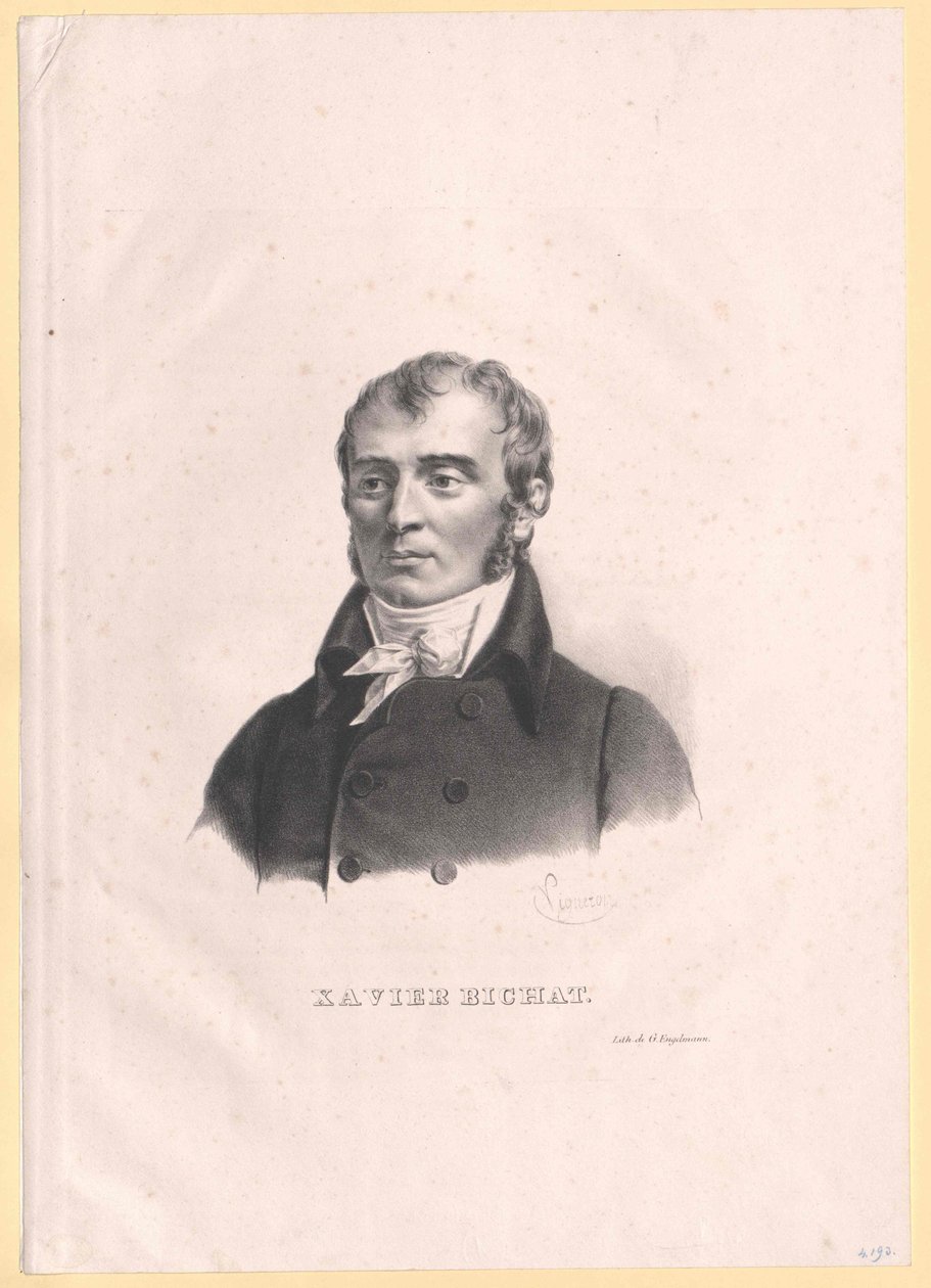 Xavier Bichat tekijältä Artist Unknown