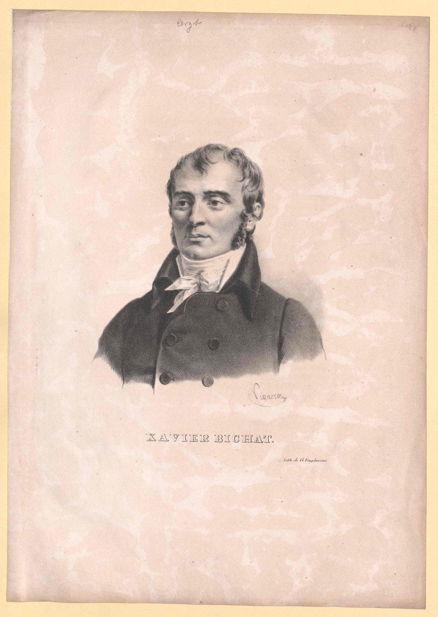 Xavier Bichat tekijältä Artist Unknown