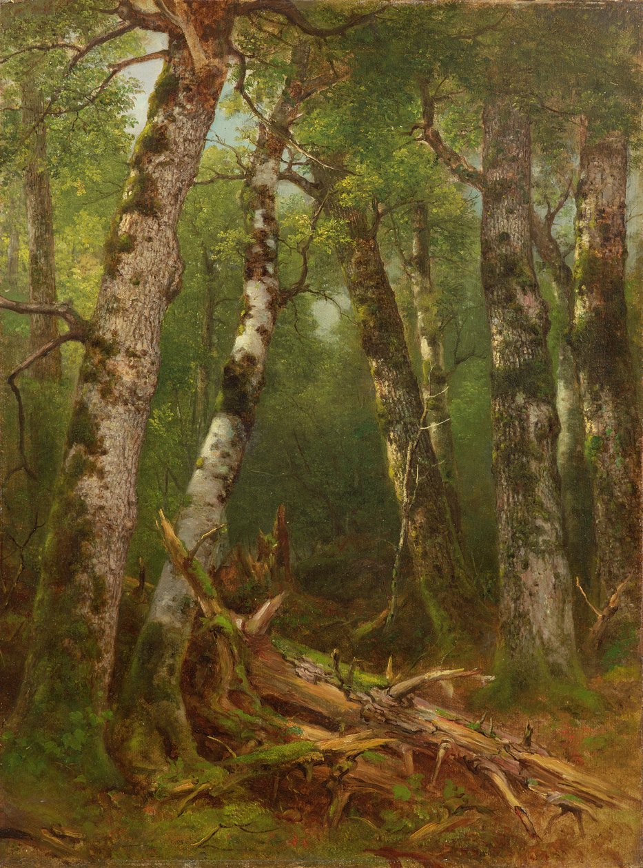 Puuryhmä, 1855-77 tekijältä Asher Brown Durand