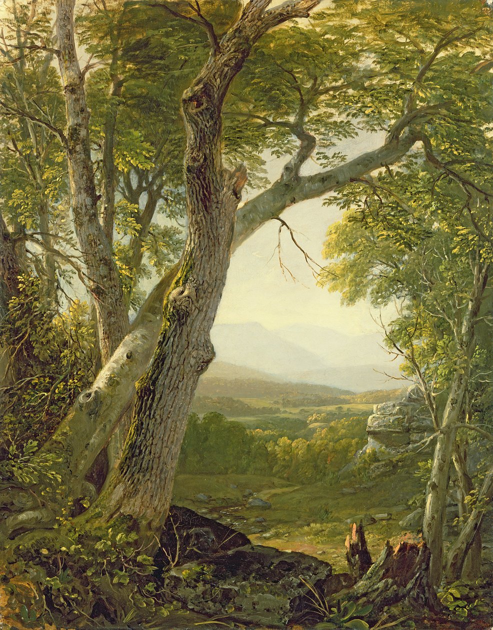 Shandaken Ridge, Kingston, New York, n. 1854 tekijältä Asher Brown Durand