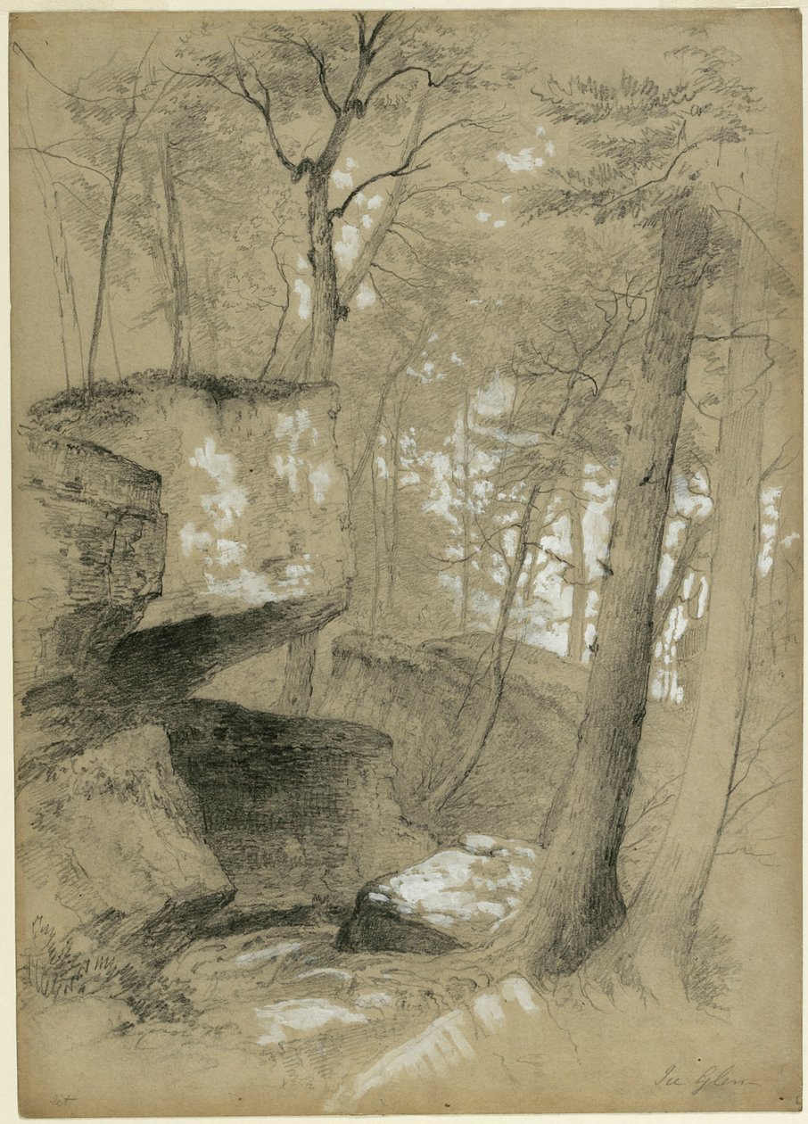 Tutki kiviä ja puita Ice Glenissä, Stockbridgessa, Massachusettsissa, 1851 (grafiitti ja valkoinen guassi beigelle paperille) tekijältä Asher Brown Durand