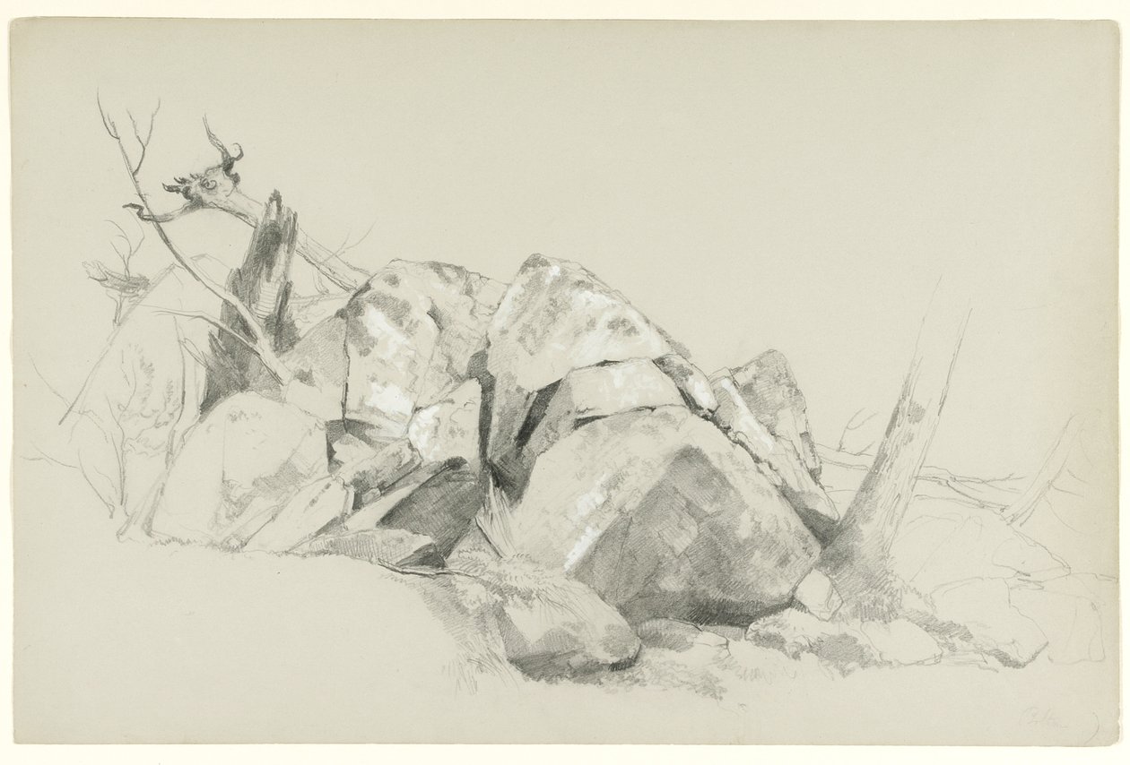 Study of Rocks, 1863 (grafiitti ja valkoinen guassi harmaalle paperille) tekijältä Asher Brown Durand