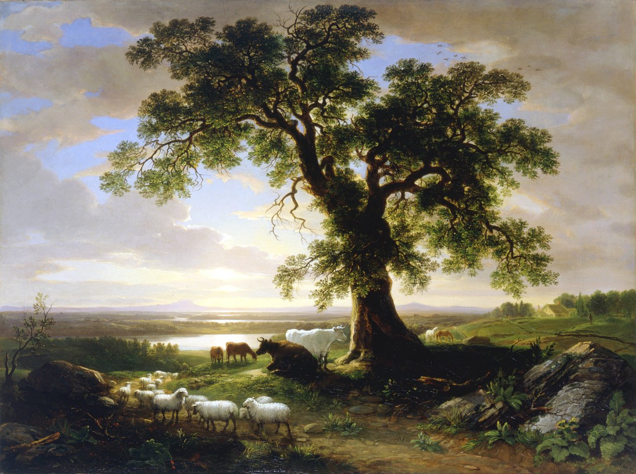 Yksinäinen tammi Vanha tammi, 1844 tekijältä Asher Brown Durand