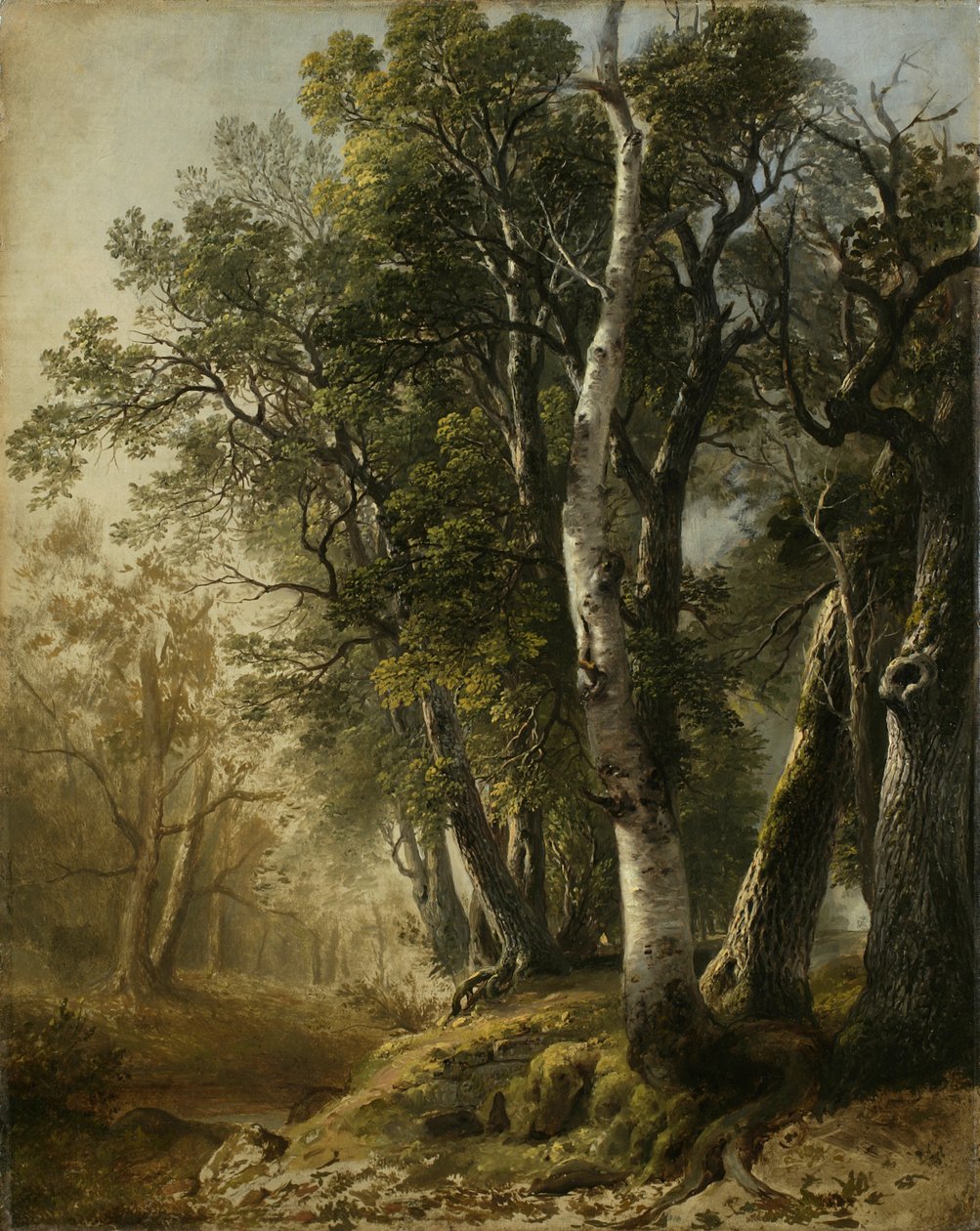 Trees by the Brookside, Kingston, N.Y., 1846 (öljy pellavalle) tekijältä Asher Brown Durand